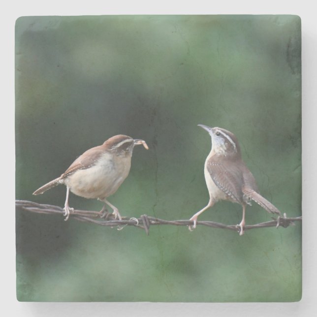 Dessous-de-verre En Pierre Dessous de verre Wrens (Devant)