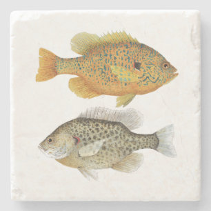 Dessous-de-verre En Pierre Dispositif d'enduction de Sunfish