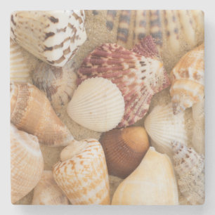 Dessous-de-verre En Pierre Disposition de coquillage