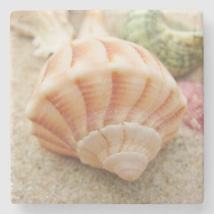 Dessous-de-verre En Pierre Éclair de l'étouffement de la coquille de mer rayé