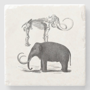 Dessous-de-verre En Pierre Éléphant préhistorique et squelette de mammouth