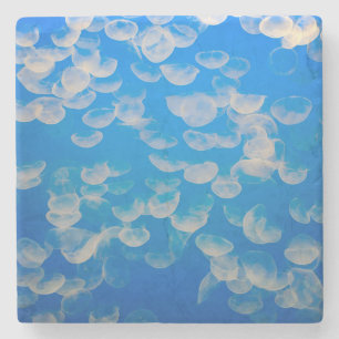 Dessous-de-verre En Pierre États-Unis, Californie. Jellyfish In the Monterey