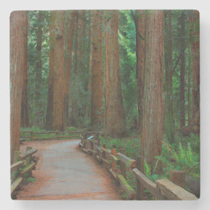 Dessous-de-verre En Pierre États-Unis, Californie. Sentier parmi les séquoias