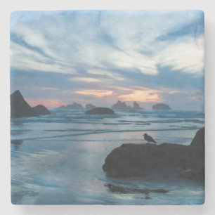 Dessous-de-verre En Pierre États-Unis, Oregon, Bandon Beach. Mouette sur un r