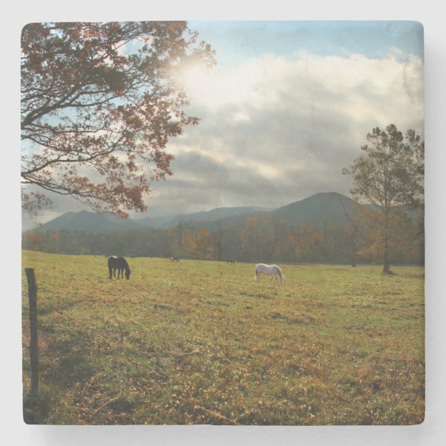 Dessous-de-verre En Pierre États-Unis, Tennessee. Cheval Dans La Vallée De Ca (Devant)