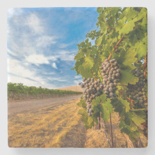 Dessous-de-verre En Pierre États-Unis, Washington, Yakima Valley. Raisins Mer