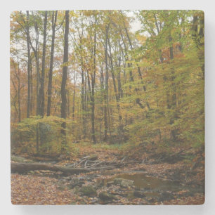 Dessous-de-verre En Pierre Fall Creek à Laurel Hill State Park Pennsylvania