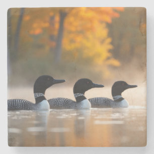 Dessous-de-verre En Pierre Famille de Loon en automne