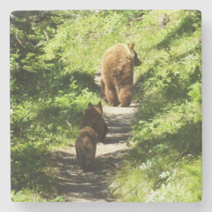 Dessous-de-verre En Pierre Famille d'ours brun