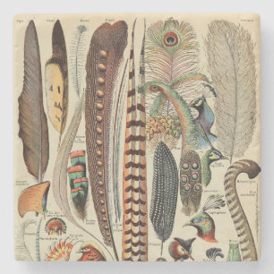 Dessous-de-verre En Pierre Feather Bird Wildlife Plumes d'antiquités