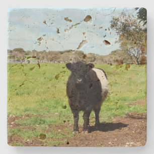 Dessous-de-verre En Pierre Female Belted Galloway Cow