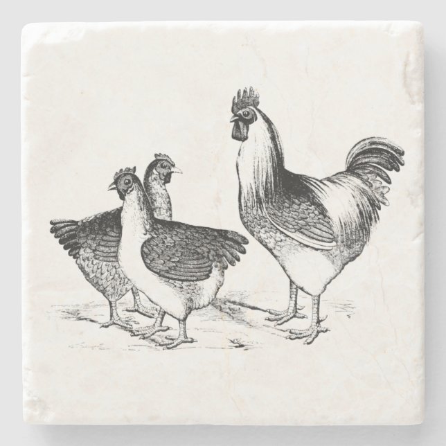 Dessous-de-verre En Pierre Ferme rustique poulet animaux cuisine (Devant)
