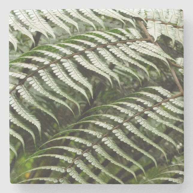Dessous-de-verre En Pierre Fern Fronds II Dark Green Nature (Devant)