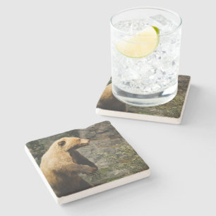 Dessous-de-verre En Pierre Fière Ours