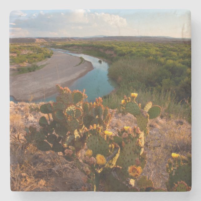 Dessous-de-verre En Pierre Figue de Barbarie (Opuntia Sp.) (Devant)