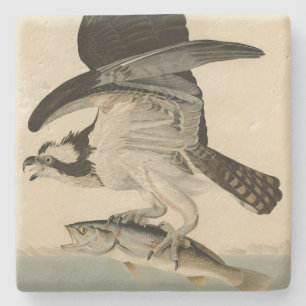 Dessous-de-verre En Pierre Fish Hawk, Osprey, d'Audubon's Birds of America