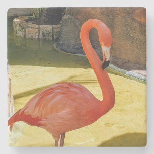Dessous-de-verre En Pierre Flamant rose rose