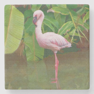 Dessous-de-verre En Pierre Flamant rose rose au lac en Floride