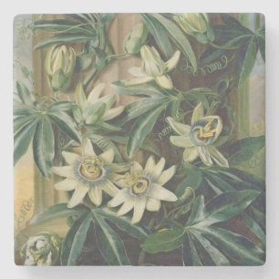 Dessous-de-verre En Pierre Fleur bleue de passion pour le "temple de Flora"