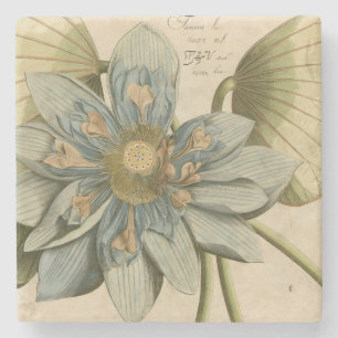 Dessous-de-verre En Pierre Fleur de Lotus Bleu sur Arrière - plan Tan avec éc