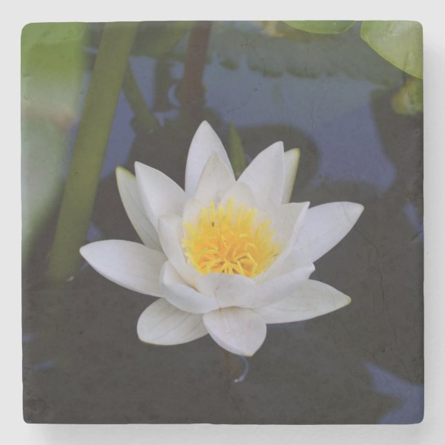 Dessous-de-verre En Pierre Fleur Lotus (Devant)