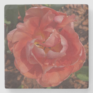 Dessous-de-verre En Pierre fleur rouge 