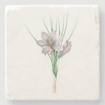 Fleurs : A007 Crocus d'automne -