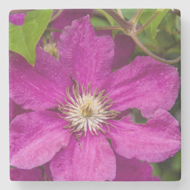 Dessous-de-verre En Pierre Fleurs chez Robinette's Apple Haus & Gift Barn (Devant)