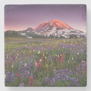 Dessous-de-verre En Pierre Fleurs colorées en parc national plus pluvieux