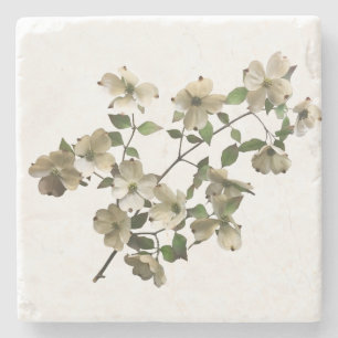 Dessous-de-verre En Pierre Fleurs de bois de chien en fleurs sur la branche