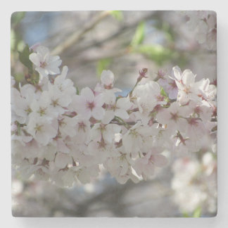 Dessous-de-verre En Pierre Floral