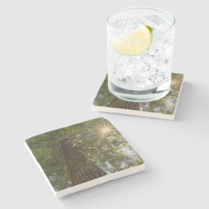 Dessous-de-verre En Pierre Forêt paisible avec photo de la nature à la lumièr