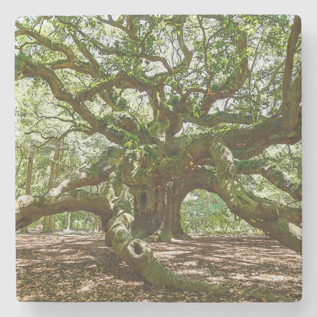 Dessous-de-verre En Pierre Forte Et Grave (Devant)