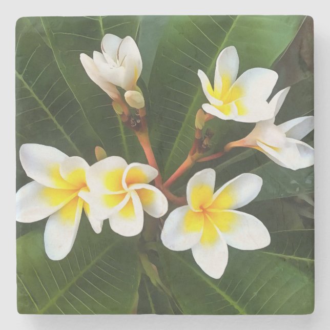Dessous-de-verre En Pierre Frangipani Blossom Cluster Style Artistique (Devant)