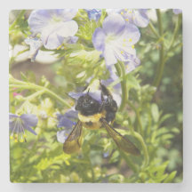 Gaffez upside-down l'abeille