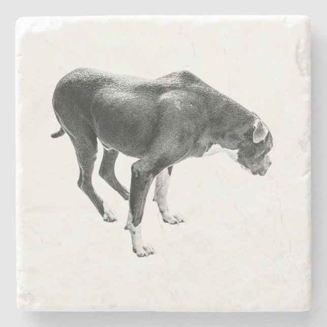 Dessous-de-verre En Pierre Gardien de table d'automne (Devant)