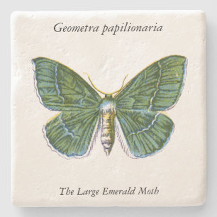 Dessous-de-verre En Pierre Geometra papilionaria - La Grande Moth Émeraude