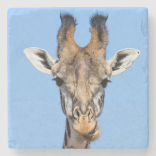 Dessous-de-verre En Pierre Giraffe