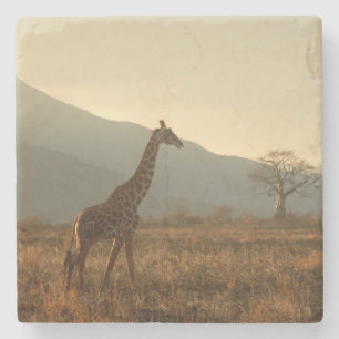 Dessous-de-verre En Pierre Giraffe dans la Savannah