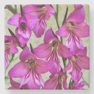 Dessous-de-verre En Pierre Gladiolus byzantin