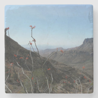 Dessous-de-verre En Pierre Grand paysage de montagne de Parc-Ocotillo de