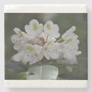 Dessous-de-verre En Pierre Great Laurel