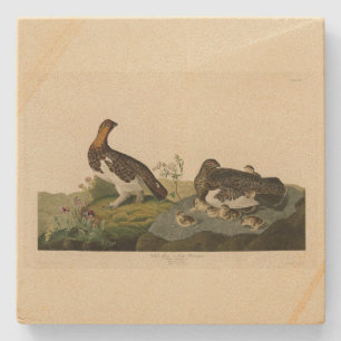 Dessous-de-verre En Pierre Grous de saule (Grouse) - Oiseaux d'Amérique d'Aud