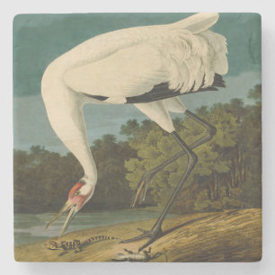 Dessous-de-verre En Pierre Grue blanche Audubon Peinture d'oiseaux