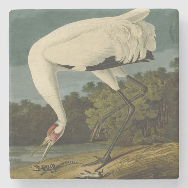 Dessous-de-verre En Pierre Grue blanche Audubon Peinture d'oiseaux (Devant)