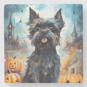 Dessous-de-verre En Pierre Halloween Affenpinscher avec la peur Citrouille