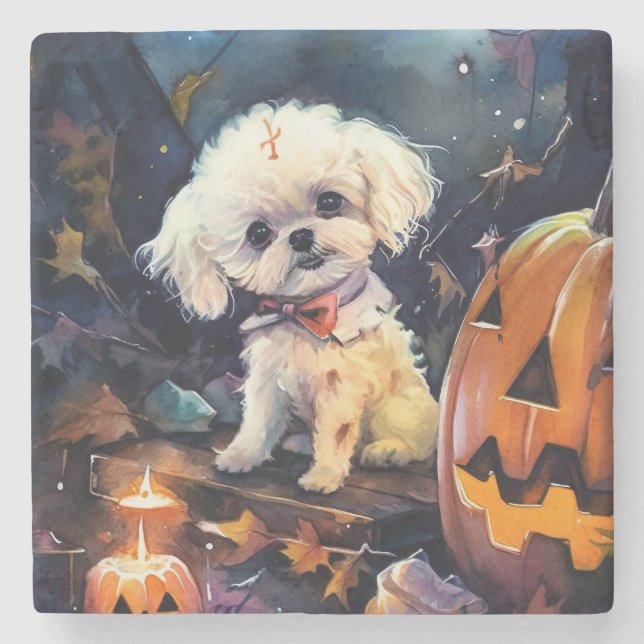 Dessous-de-verre En Pierre Halloween Bichon Frise Avec La Peur Citrouille (Devant)