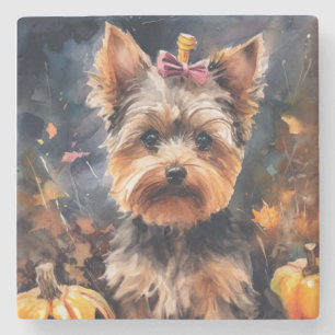 Dessous-de-verre En Pierre Halloween Biewer Terrier Avec La Peur Citrouille
