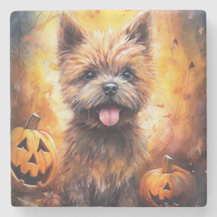 Dessous-de-verre En Pierre Halloween Cairn Terrier Avec La Peur Citrouille