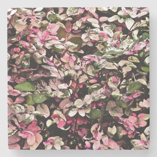 DESSOUS-DE-VERRE EN PIERRE "HAWAIIAN SNOWBUSH" /ROSES, VERTS ET BLANCS (Devant)